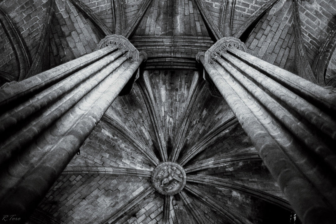 Kodak T-Max P3200, 36Exp 35mm Film