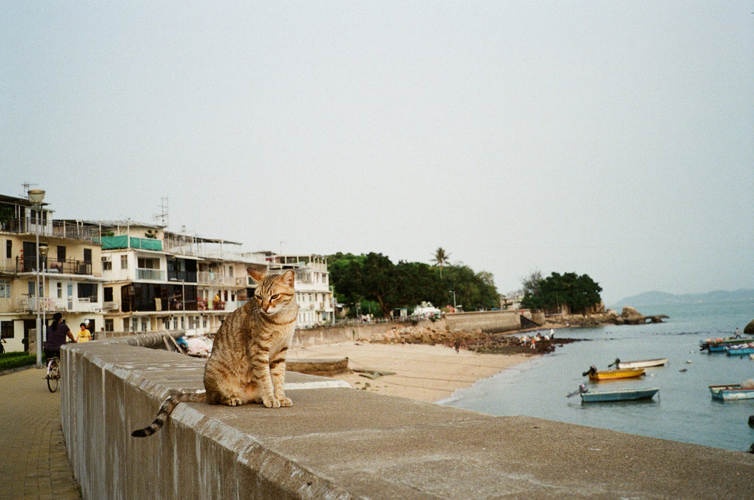 RETOCOLOR Prism 200, 36 Exp 35mm Film
