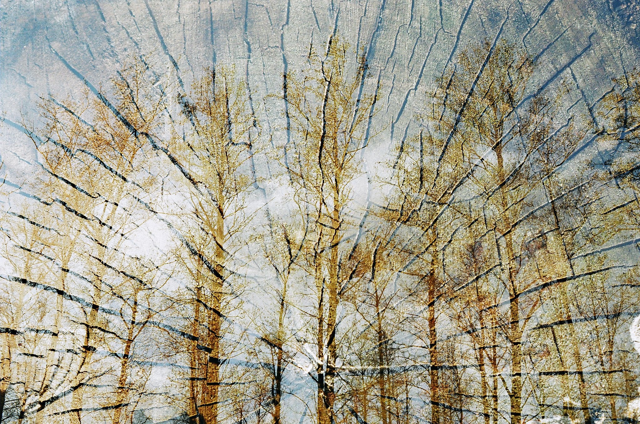 新品　未開封　FILM GOLD コレクタブル コンプリート 第132回フィルムさんぽ（夏祭り・Kodak Gold VS FUJIFILM200回