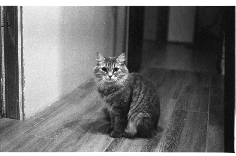 AGFA APX 400 36Exp 35mm Film