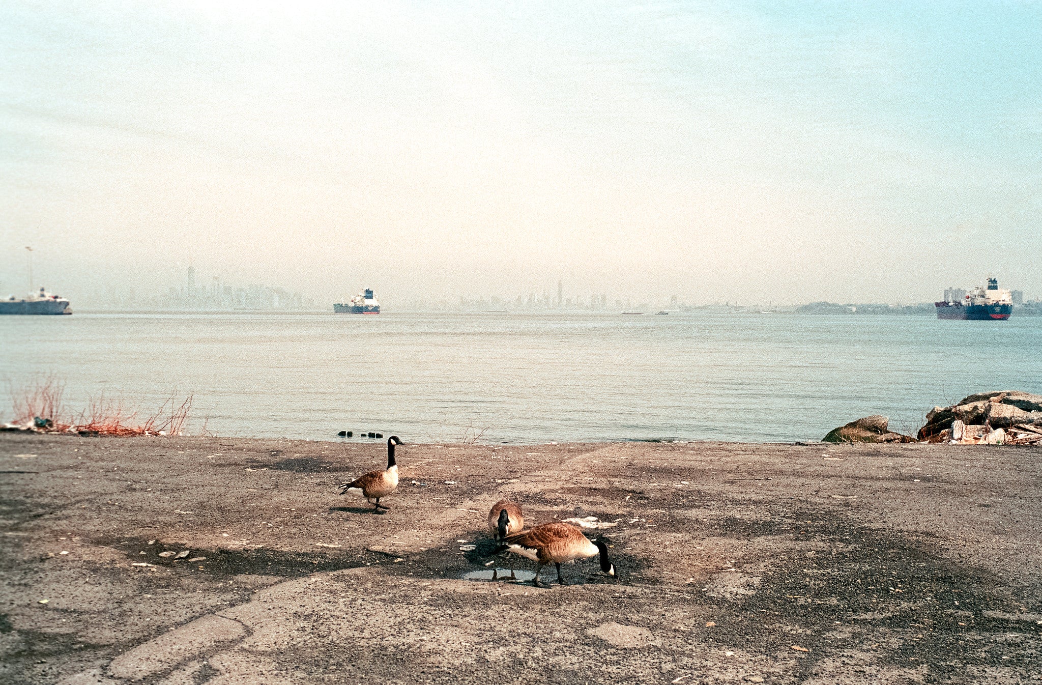 Film couleur FUJIFILM 400 (400 ISO) Format 135 - 36 poses