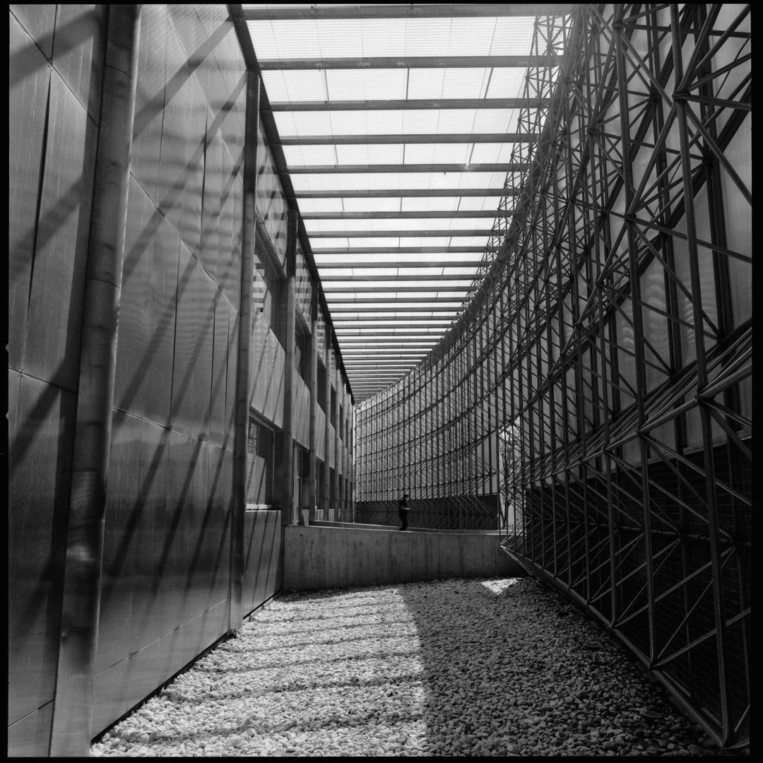 Ilford FP4+ 125 BW - 120 (Single Roll)