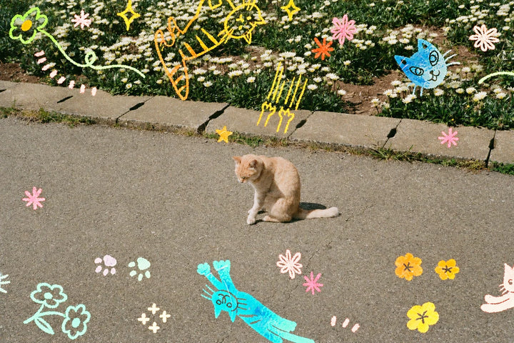 RETOCOLOR CAT'CHA 400, 27 EXP 35mm Film