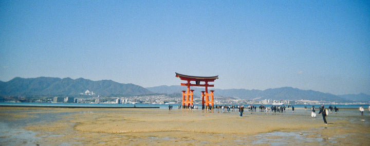 RETO PANO 35mm Film Camera