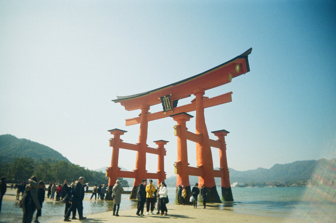 RETO PANO 35mm Film Camera