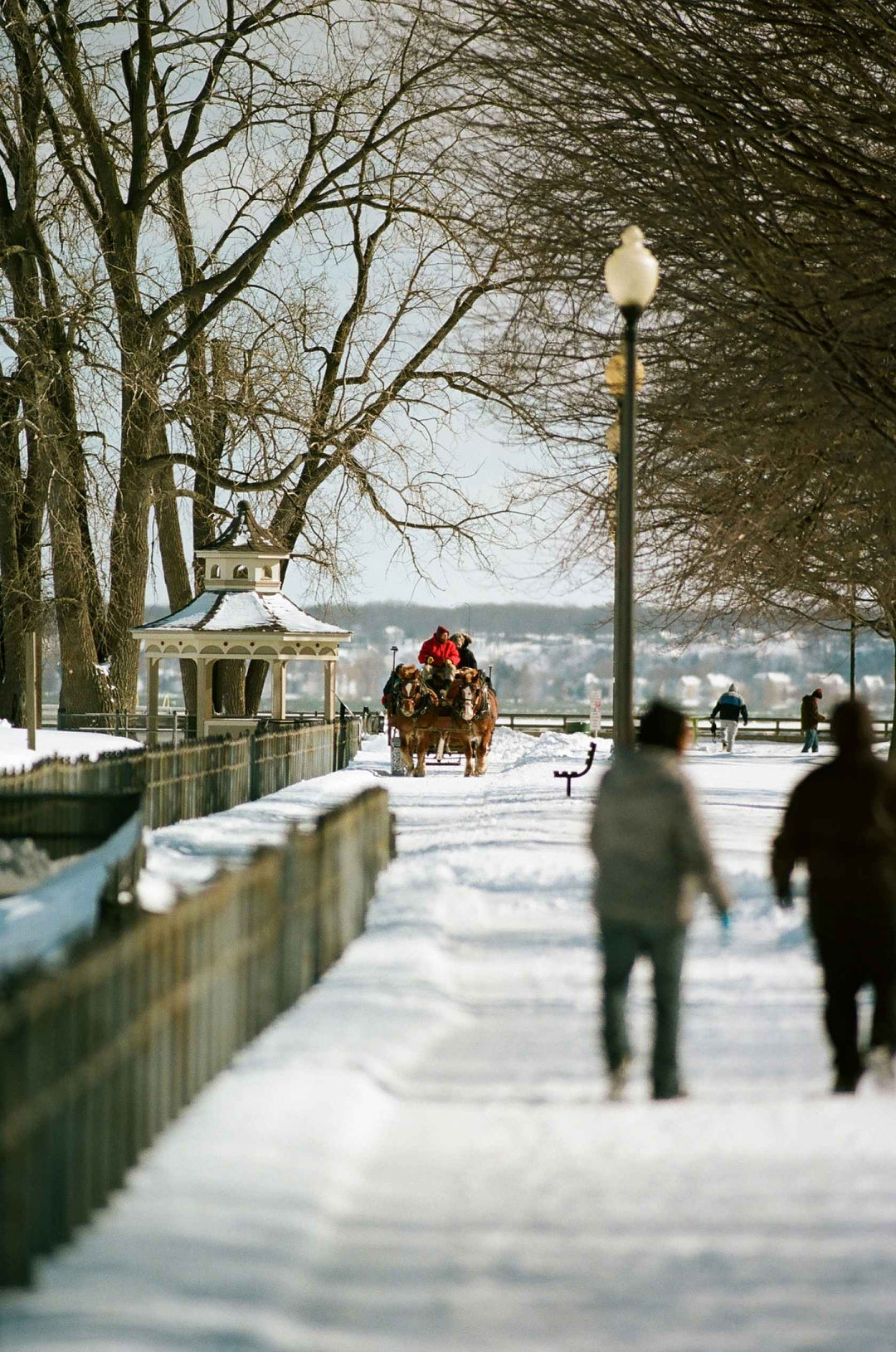 Kodak Ektacolor Pro 160 - 36Exp, 135/35mm Film – SHOWA