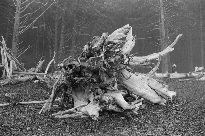 Kodak Ektapan 400 - 36Exp, 135/35mm Film