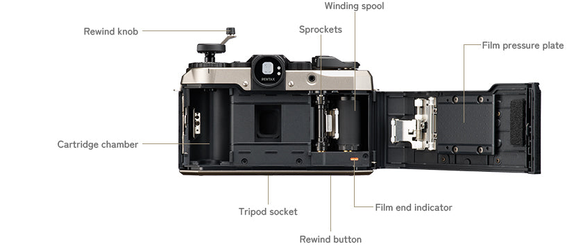 Pentax 17 (Brand New - 1 Year Warranty)